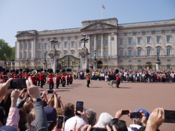 How to find the best travel SIM